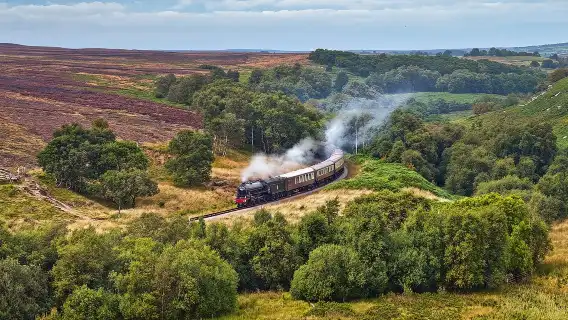 North York Moors National Park + Whitby 1-day tour from York, UK