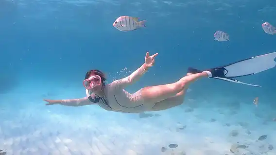 【私團|浮潛|海釣|長尾船】芭提雅格蘭薩美山沙美島出海一日遊