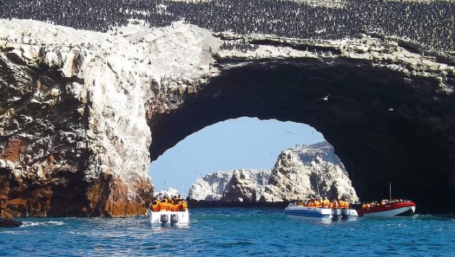 Ganztägiger Tagesausflug zu den Ballestas-Inseln und dem Naturschutzgebiet Paracas