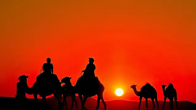 Agafay Desert: Sunset Camel Ride and Dinner, Fireshow(Marrakech)