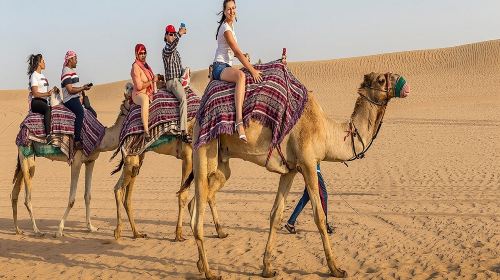 Adventure Quad Bike Safari, Camel Ride & Sandboarding 3