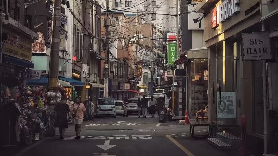 平澤包車：湖景、多元文化市場、海橋日落、寺廟體驗、田園花園