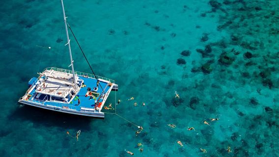 Fort Lauderdale: Key West Day Trip with Optional Activities