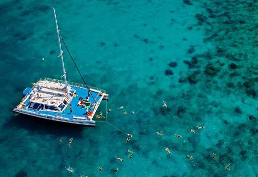 Fort Lauderdale: Key West Day Trip with Optional Activities