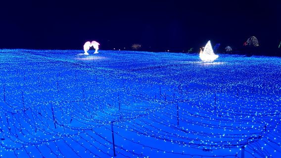 โซล: อัลปากา, นามิ, มอร์นิงแคลม หรือ เอโอบี (+ รถไฟฟ้ารางเบา)