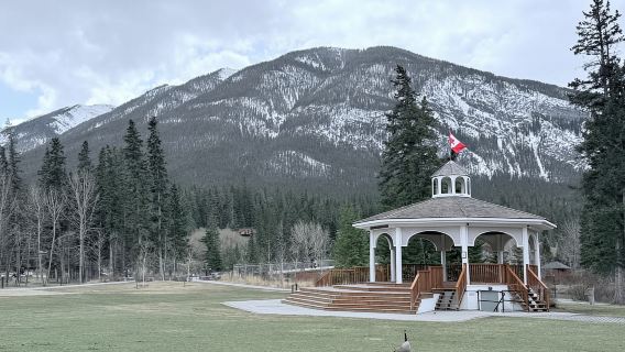 Peyto Lake Bow Lake Louise, Johnston Canyon & Banff Day Trip