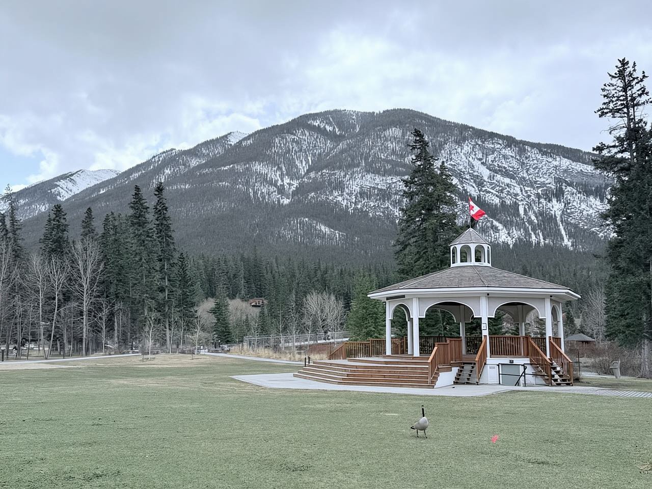 Gita di un giorno al lago Peyto, al lago Bow, al lago Louise, al Johnston Canyon e a Banff
