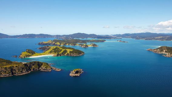 From Paihia: Scenic Cruise with Roberton Island Stopover