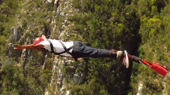 Plettenberg Bay: Bungee Jumping with Zipline and Sky Walk
