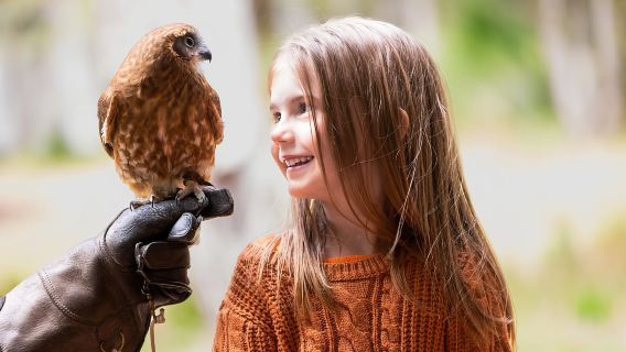 Margaret River: Greifvogelbeobachtung und Waldspaziergang