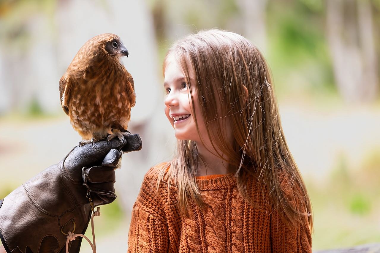 Margaret River: Birds of Prey Encounter and Forest Walk