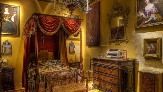 Входной входной билет в исторический дом-музей Палаццо Фальсон