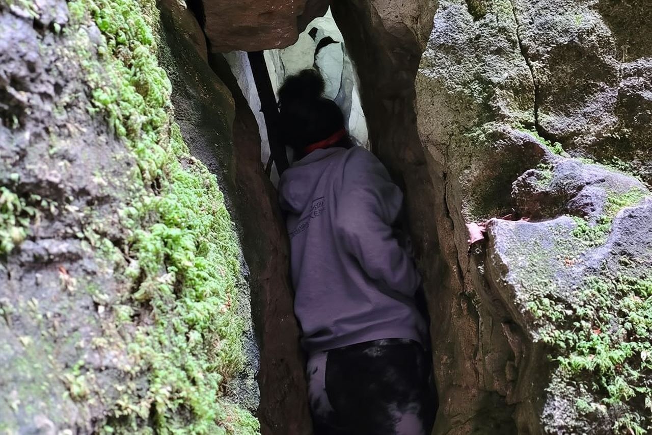 私人辛漢普頓洞穴健行 - 科林伍德/藍山