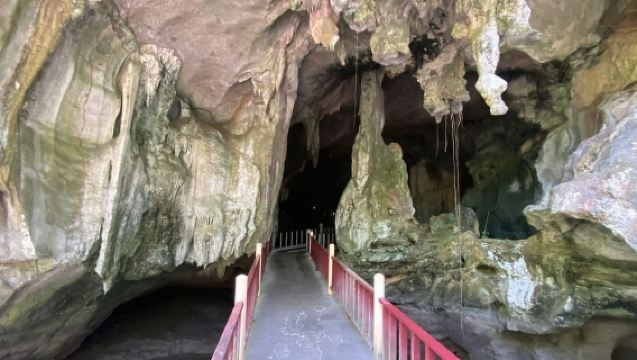 แพ็คเกจลิงป่าชายเลน ลังกาวี