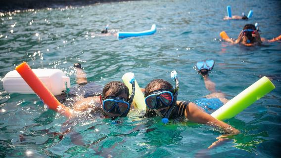 Da Kihei: snorkeling al cratere di Molokini e a Turtle Town