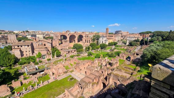 Roma: Colosseum Express dengan Tur Forum Romawi Opsional