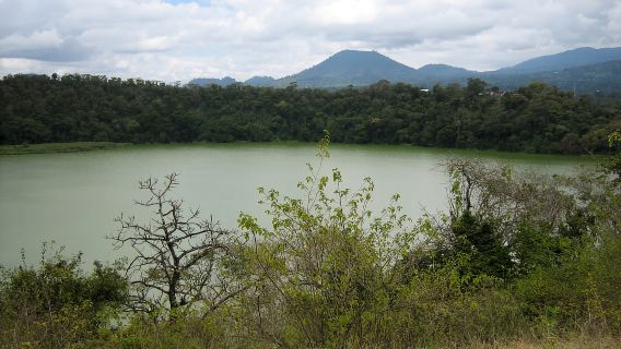 Da Arusha: visita guidata al Magical Lake Duluti Walk