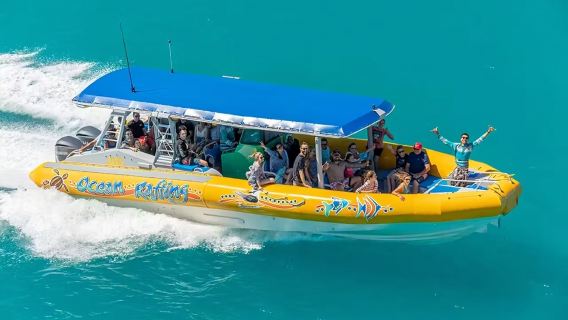 【システム直結 アクティビティ特典】セントラルコースト ホワイトヘブンビーチ ワンデーツアー ハートリーフ ヒル海峡