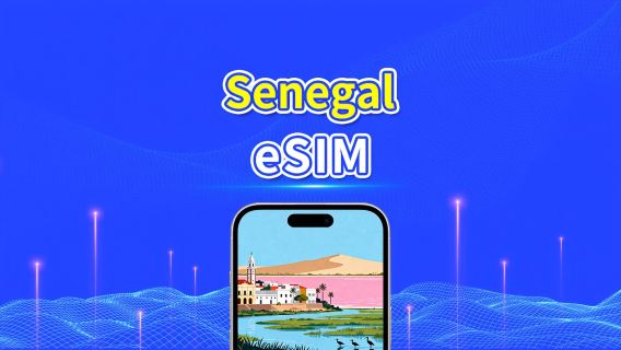 Сенегал eSIM | 5G/4G | Ежедневный/Общий пакет данных | 5–15 дней | 24-часовое выставление счёта | QR-код