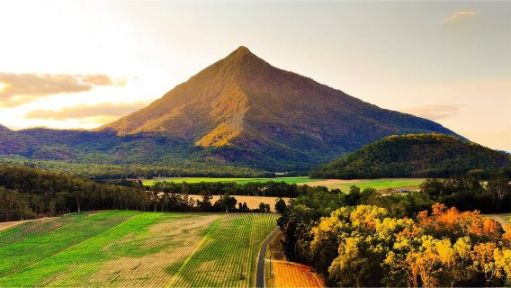 【含澳式BBQ/尋找鴨嘴獸】開恩茲亞瑟頓高原夜遊金字塔山