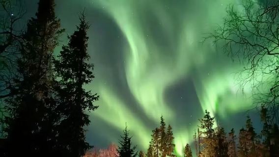 Полудневный тур в Мурманске (3-4 часа) для наблюдения за северным сиянием: индивидуальный тур с арендой транспорта