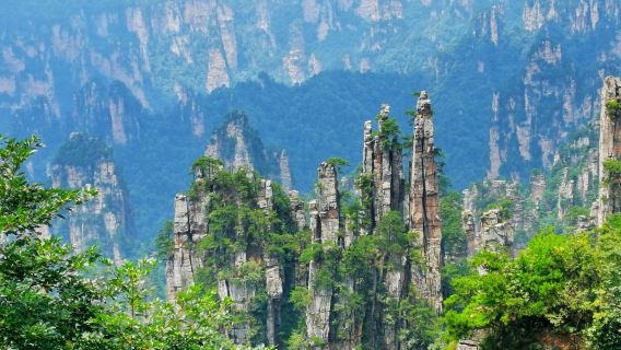 Tagesausflug zum Zhangjiajie National Forest Park in Hunan [Schneller Einlass + 6 Expressspuren für umweltfreundliche Shuttles]