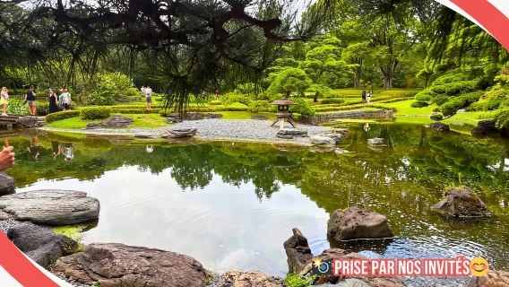 Tokyo : Visite à pied du Palais impérial, des shoguns et des jardins