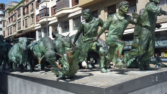 Excursión a Pamplona desde San Sebastián