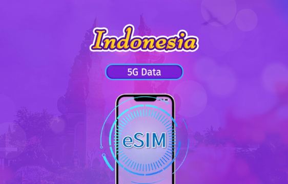 Indonesia | 5G/4G eSIM | Day Pass/Total Package | 24H Billing | 1-30 days | QR code