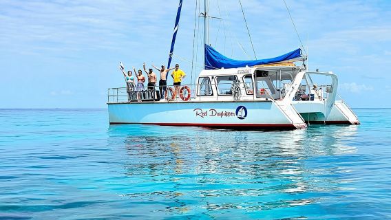 Full-Day Great Barrier Reef Snorkelling tour from Cairns
