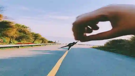 【精品小團】嵊泗洋山島+東海大橋+洋山深水港一日遊看海品海鮮