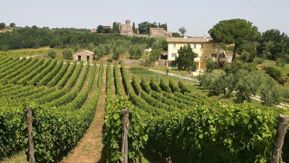 Wine Tasting and Winery tour