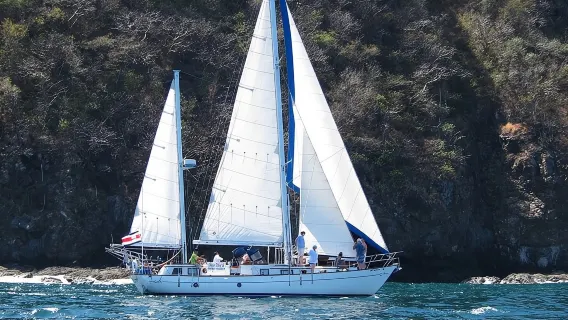 Private Morning Sail & Snorkel Tour