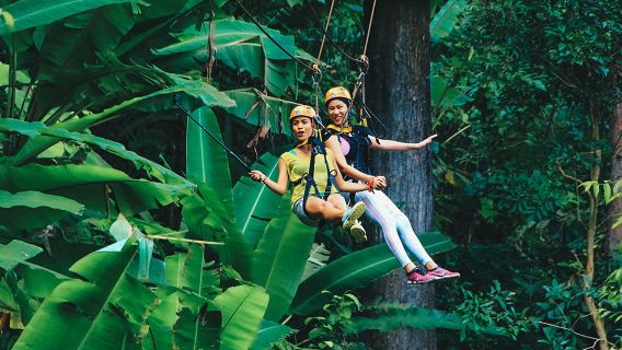 Prenotabile lo stesso giorno - Zipline Hanuman a Phuket con montagne russe nella giungla e trasporto incluso