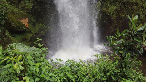 Colombia's Tallest Waterfalls: La Chorrera Hike