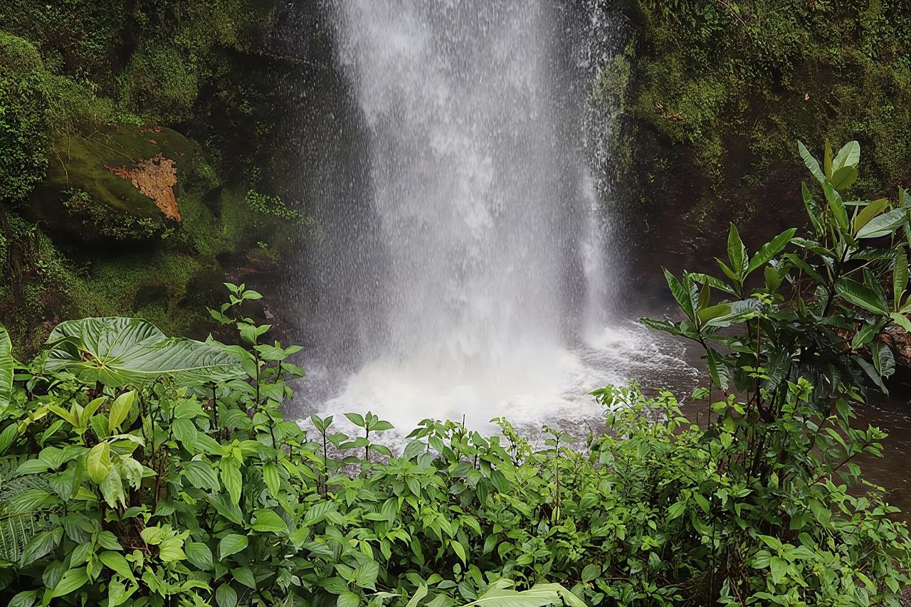Colombia's Tallest Waterfalls: La Chorrera Hike