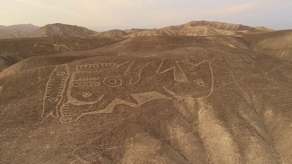 Tour delle linee di Nazca via terra