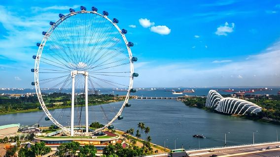 Private One Day Highlight Tour of Singapore with Singapore Flyer