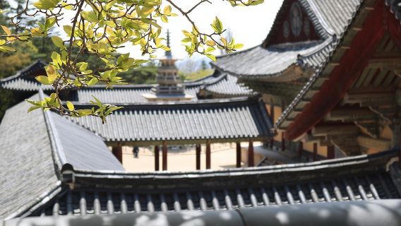 Gyeongju The UNESCO World heritage sites tour(Private tour)