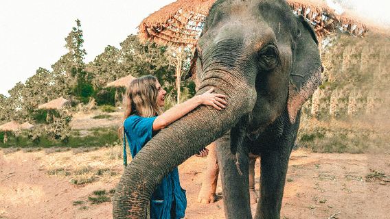 เชียงใหม่ นาไช ปางช้าง + ทัวร์วันเดียว/ทัวร์หลายวัน/ล่องแพไม้ไผ่ พร้อมอาหารและรถรับส่ง