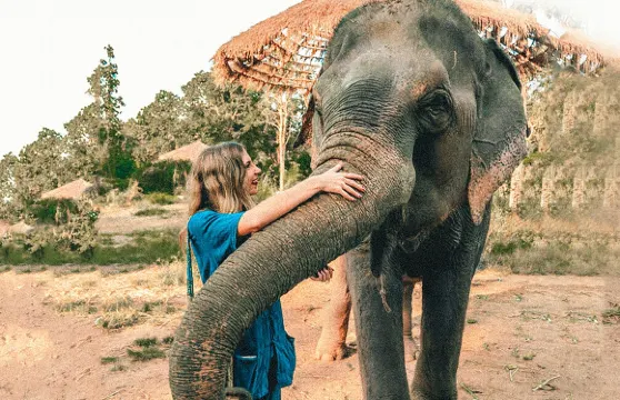 清邁納財大象營+粘粘瀑布一日遊 竹筏漂流 含餐含接送