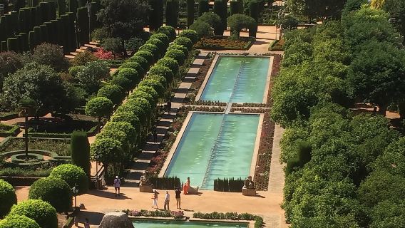 Visita guiada a la Sinagoga, Judería y Baños Califales en español