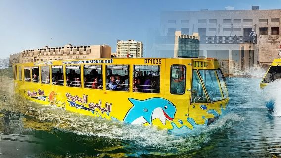 DubaiTravel Services