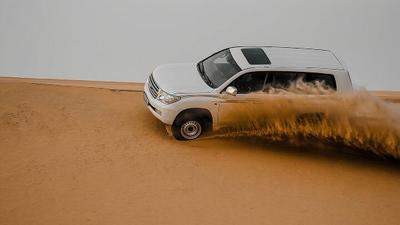 Private Doha Desert Safari and Inland Sea Tour, Best adventures