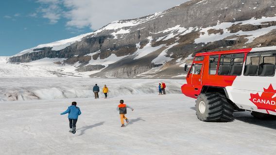 Excursion d'une journée au champ de glace Columbia, au lac Peyto et au lac Bow depuis Banff/Calgary