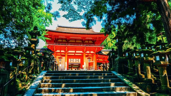 Parco di Nara + Uji: tour di un giorno rilassante e culturale per rigenerarsi [piccolo gruppo esclusivo di 4-9 persone con opzione transfer]
