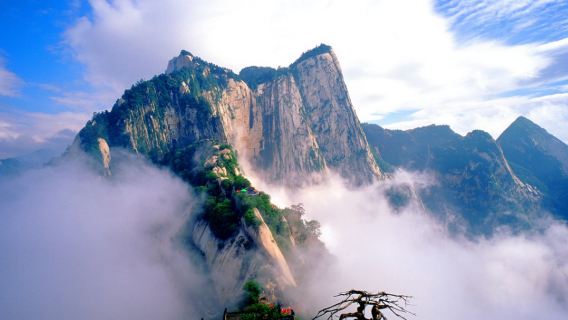 DaliTours