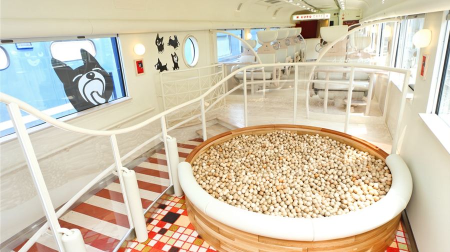 [官方票] JR PASS 全九州/南九州/北九州鐵路週遊券（電子兌換券）