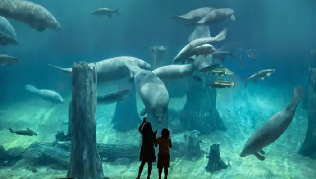 新加坡動物園一日遊夜間河川日間動物園新加坡飯店專車接送普通話