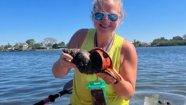 Escursione di un giorno in kayak con fondo in vetro - Isola di Anna Maria